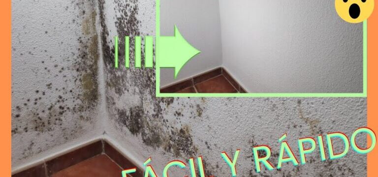 Cómo eliminar el moho de las paredes